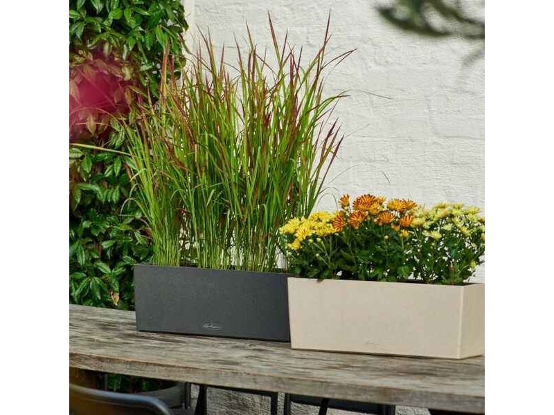 LECHUZA Balkonbak Balconera Color Kunststof All-in-One Set Wit 40 X 19 X 19 Cm